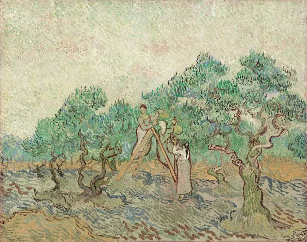 The Olive Orchard — Vincent van Gogh