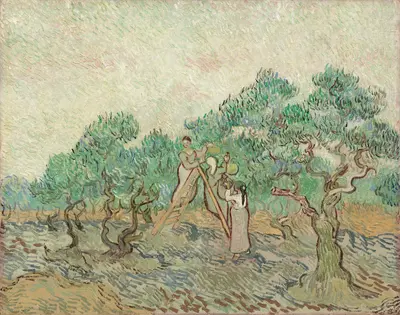 The Olive Orchard — Vincent van Gogh