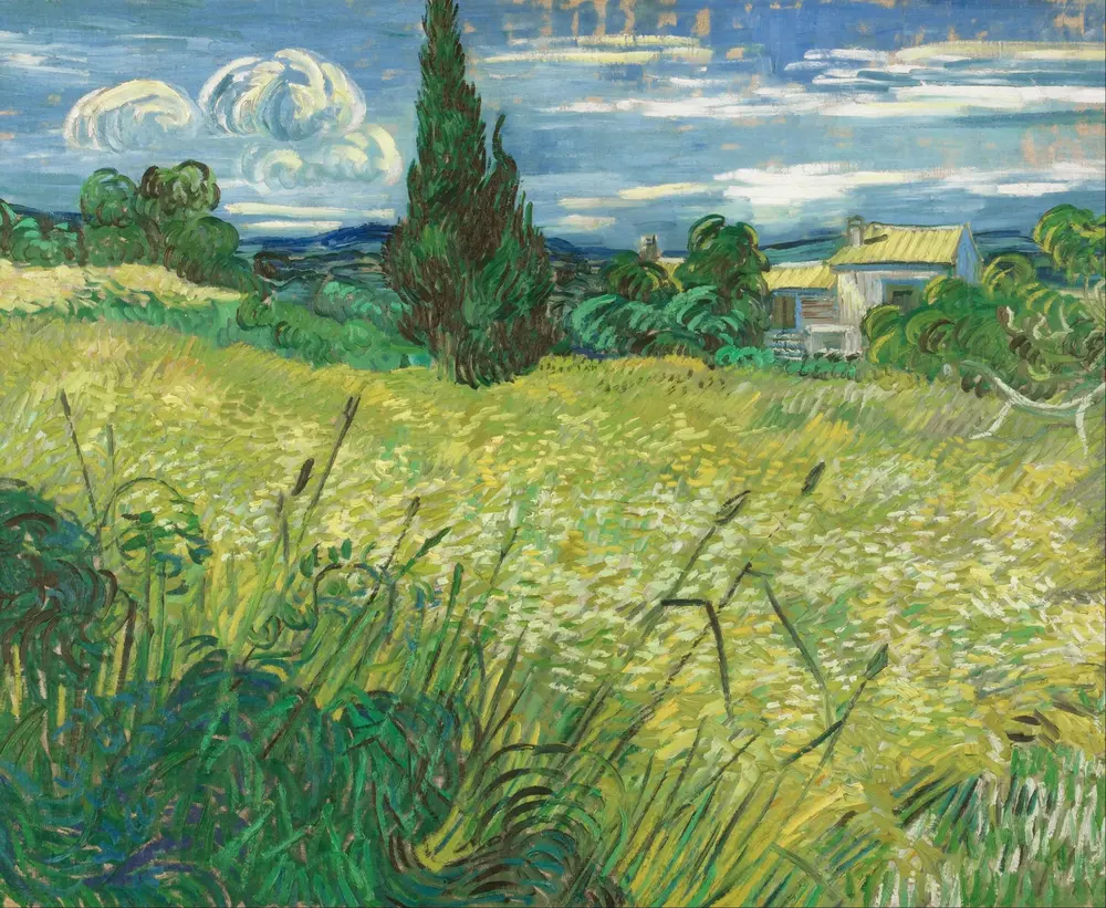 Green Field — Vincent van Gogh