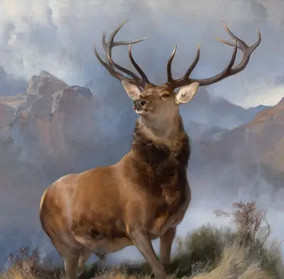 Monarch of the Glen — Эдвин Генри Ландсир