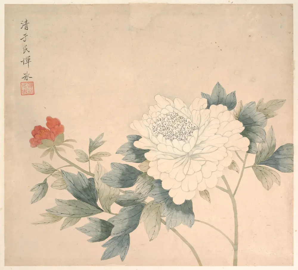 Flower Study — Yun Bing